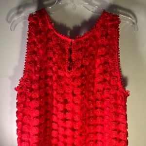 Firecracker Red Sleeveless Blouse